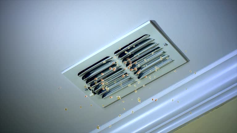 Best Air Vent Cleaning Services  in Berlin, MD